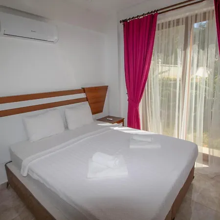 别墅 Zehra 费特希耶